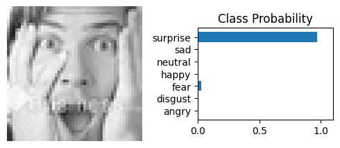 Surprise